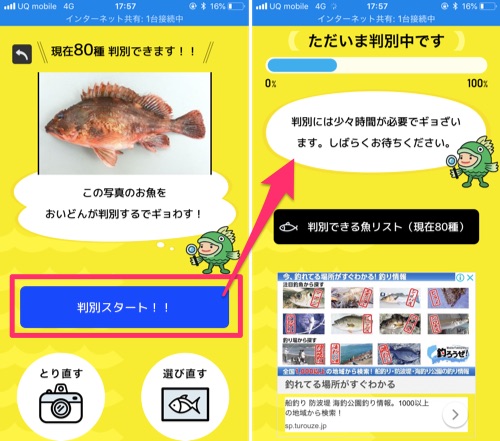 機械学習で魚を判別 魚の名前 毒の有無などがわかる魚種判別アプリ フィッシュ カミアプ Appleのニュースやit系の情報をお届け