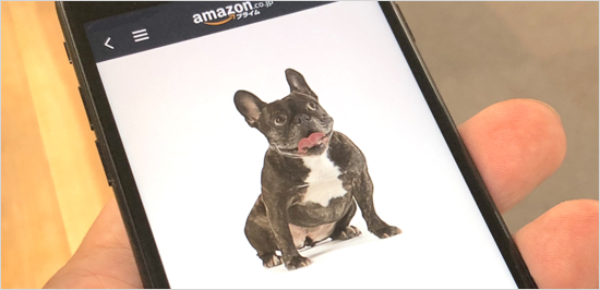 Amazonプライムデー 開催中のamazon エラー画面で表示される犬に意外な秘密が カミアプ Appleのニュースやit系の情報をお届け