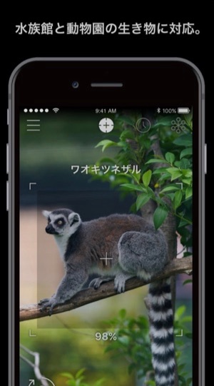 Ai図鑑アプリ Linne Lens なんと動物園にいる9割の生き物に対応 カミアプ Appleのニュースやit系の情報をお届け