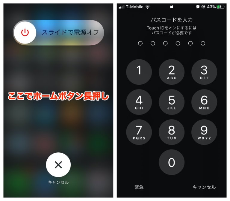 iPhoneのカメラがおかしい？正常に機能しない症状が多数報告 一時的な対処法を紹介！ | カミアプ | AppleのニュースやIT系の情報をお届け